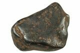 Canyon Diablo Iron Meteorites (8-10 grams) - Arizona - Photo 2